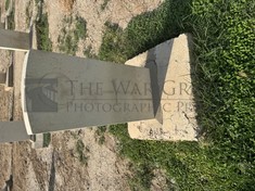 BAGHDAD (NORTH GATE) WAR CEMETERY - YOUNG, T L